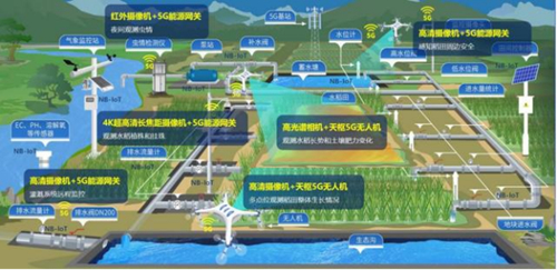 又到一年丰收时，第6个农民丰收节来临！