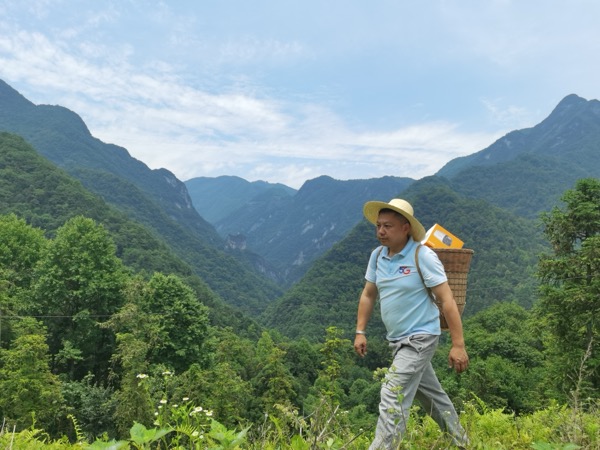 中国电信湖南石门分公司壶瓶山支局长，已在“