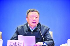 中国电信董事长王晓初：扎实开展，同步推进光